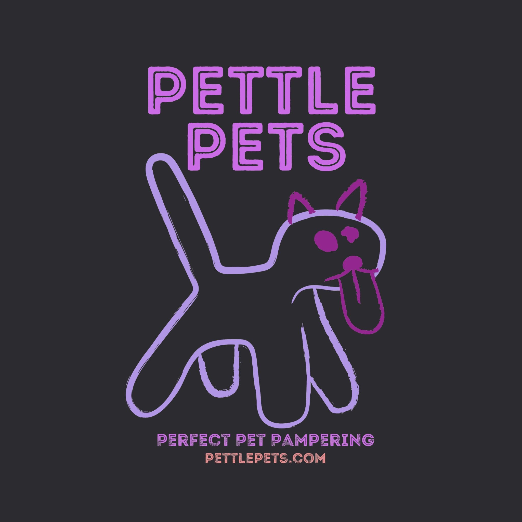 Organic Cotton T Shirt with Outline CAT Print Purple - Pettle Pets